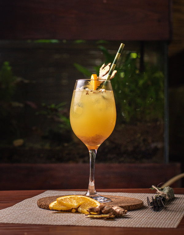 COGNAC GINGER FIZZ